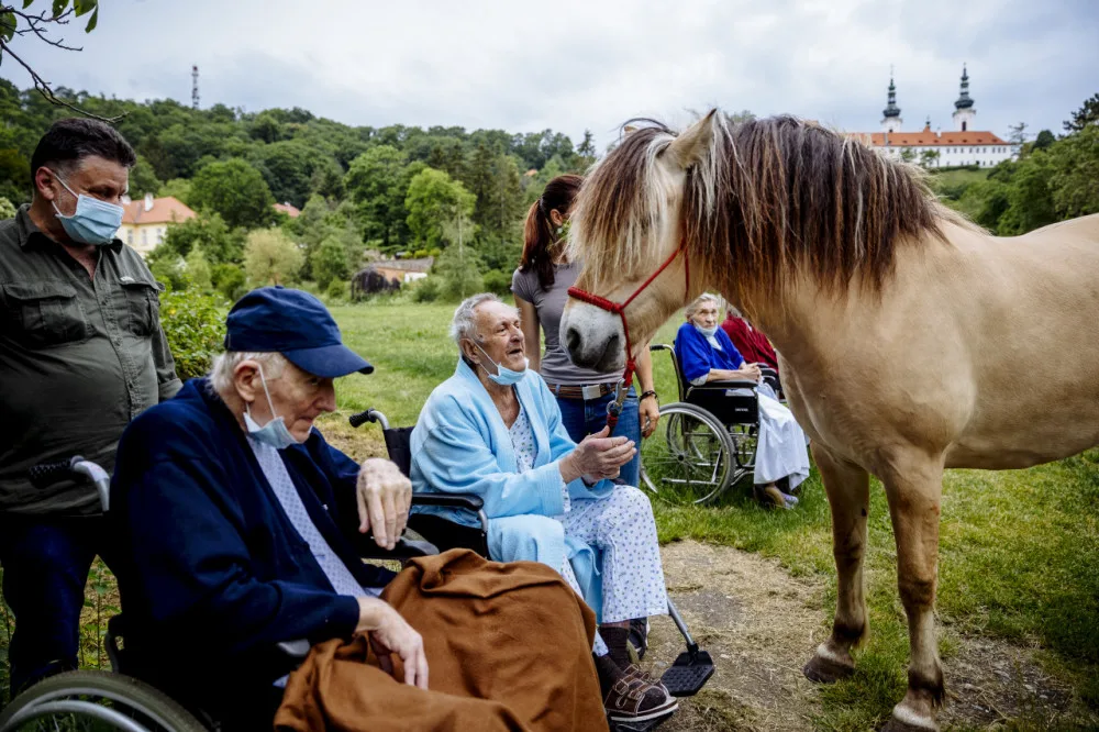 FOTO: Když zvířata pomáhají. V pražské nemocnici zavedli hipoterapii