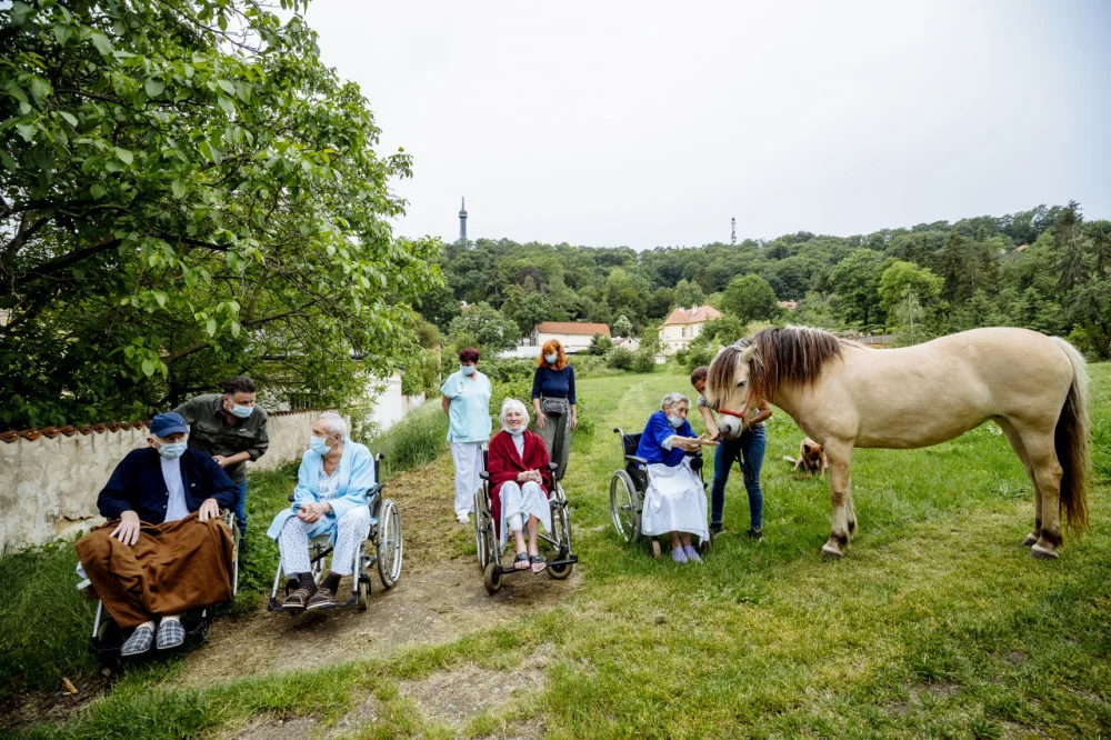 FOTO: Když zvířata pomáhají. V pražské nemocnici zavedli hipoterapii