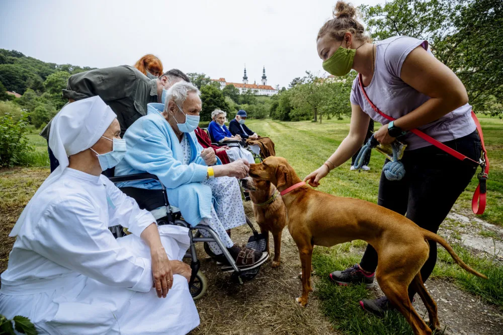 FOTO: Když zvířata pomáhají. V pražské nemocnici zavedli hipoterapii