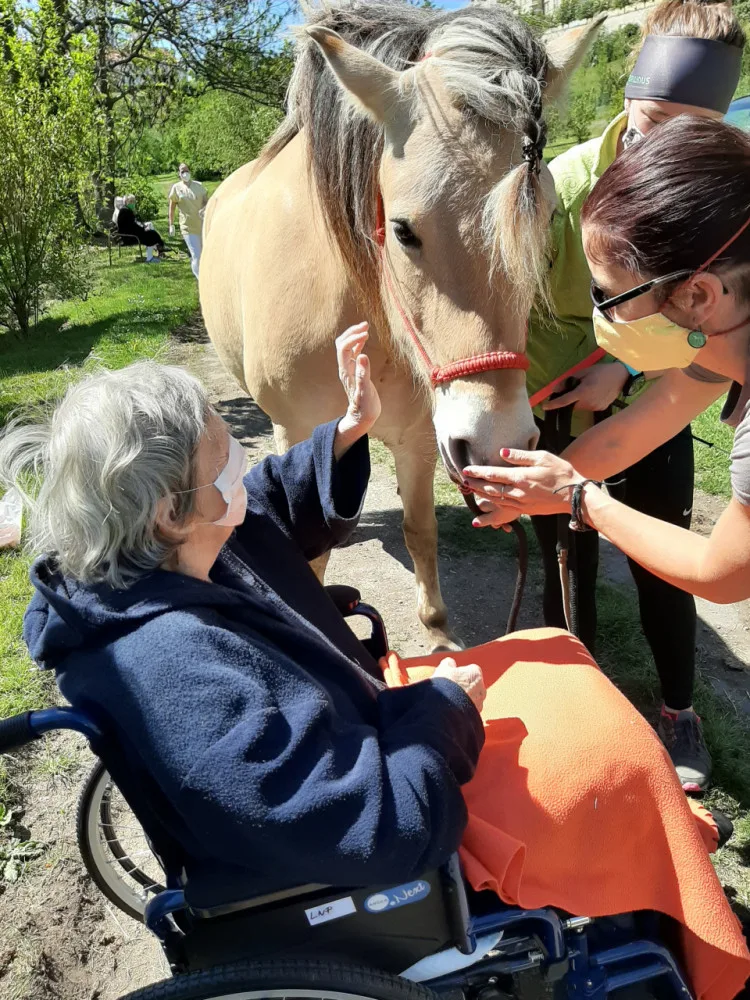 FOTO: Když zvířata pomáhají. V pražské nemocnici zavedli hipoterapii