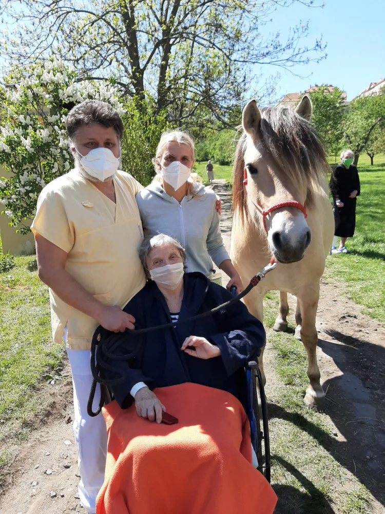 FOTO: Když zvířata pomáhají. V pražské nemocnici zavedli hipoterapii