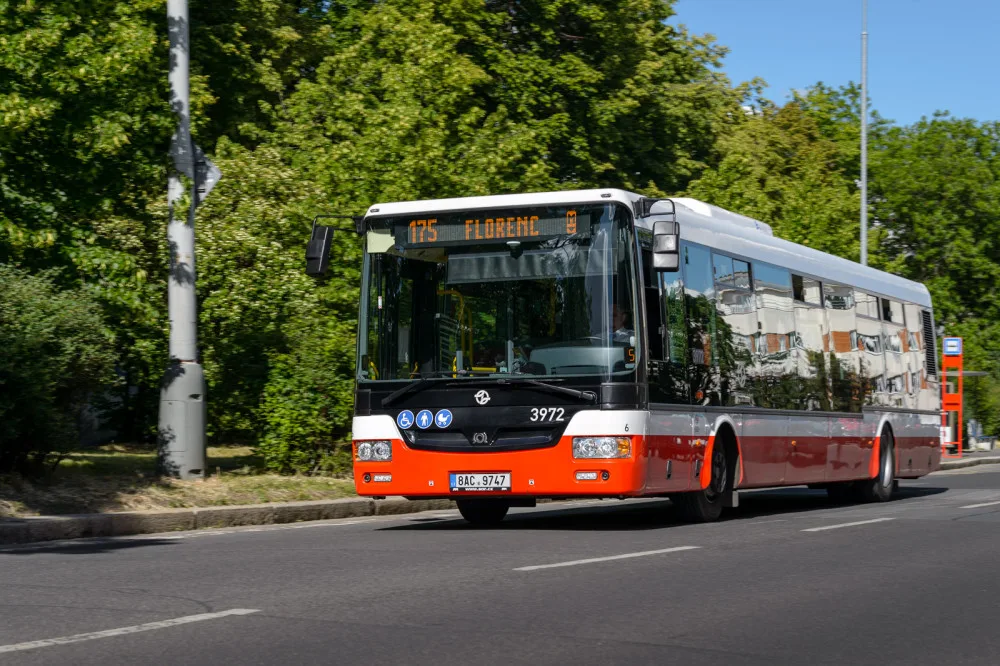 Autobus 175