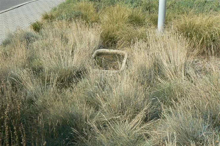 pítko