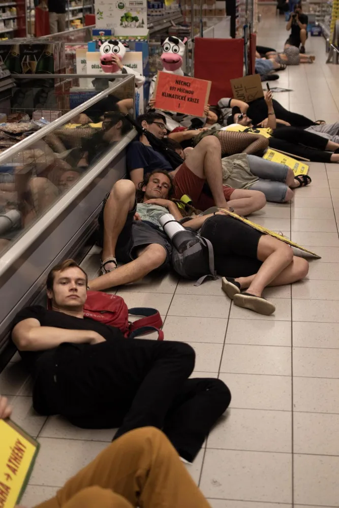 Aktivisté zaplavili Albert v Arkádách. Protestovali proti kampani za záchranu lesů.