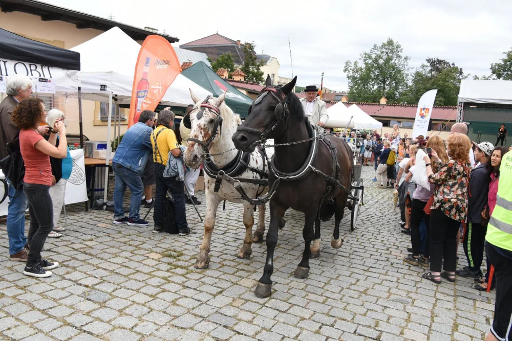 FOTO: Libeňský zámek oslavil 250 let od přestavby Marií Terezií. Podívejte se na fotky