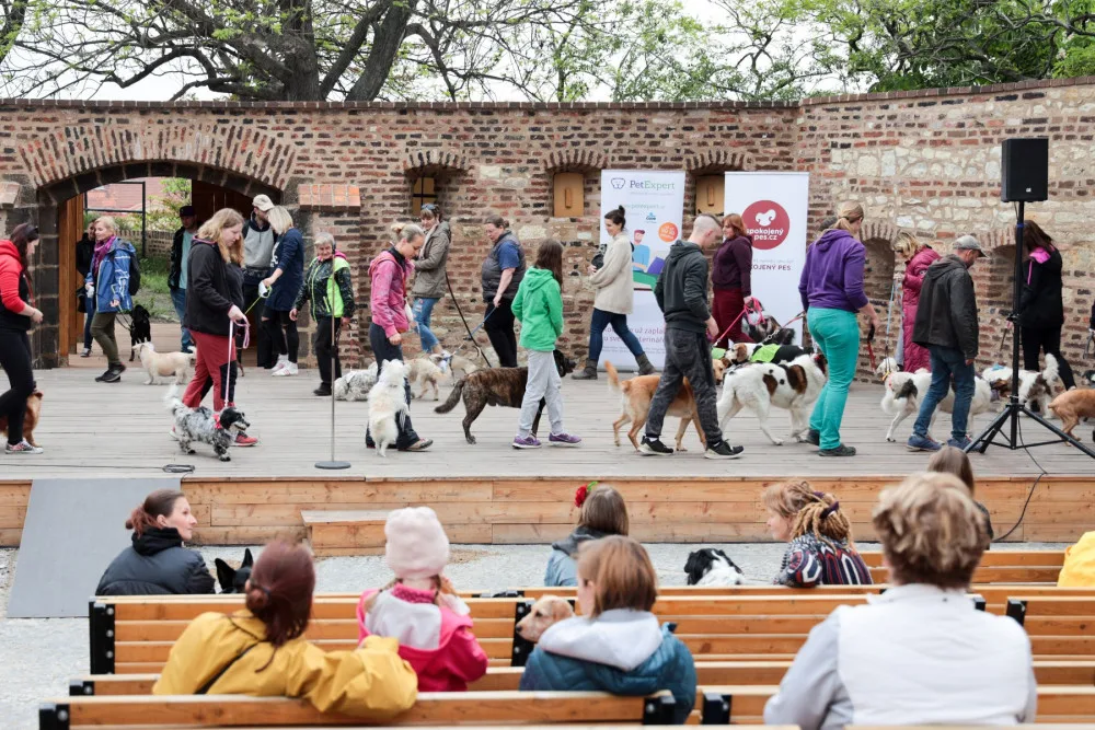 TÝDEN V PRAZE: Vyšehradský voříšek, koncert filmové hudby i interaktivní audiowalk Divadla Pomezí