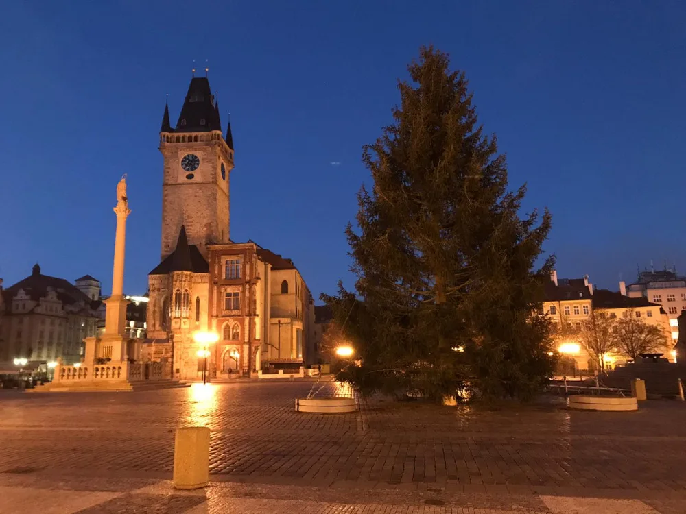 FOTO, VIDEO: Vánoční strom pro Prahu je na svém místě. Rozsvítí se o víkendu