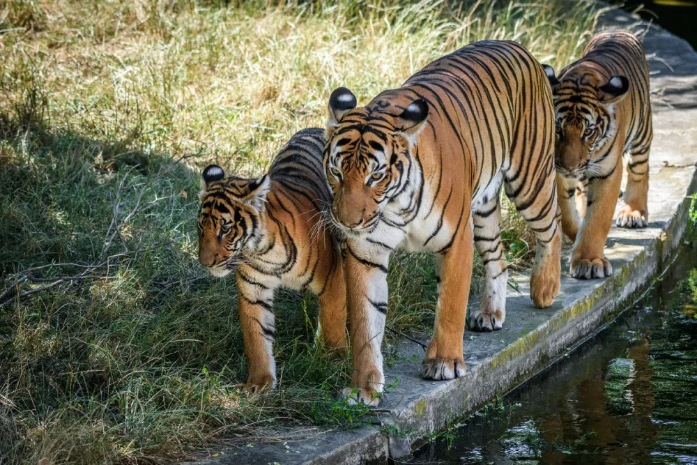 Zoo Praha
