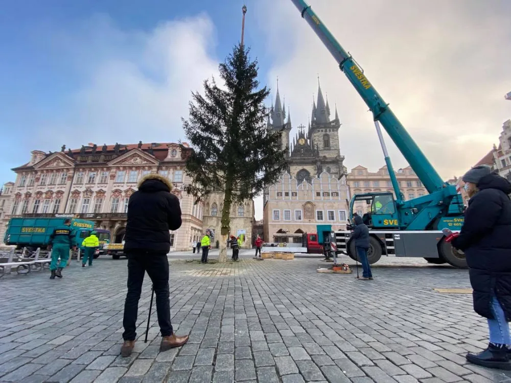 FOTO: Strom ze Staroměstského náměstí již zmizel. Z kmene bude nábytek pro domov seniorů