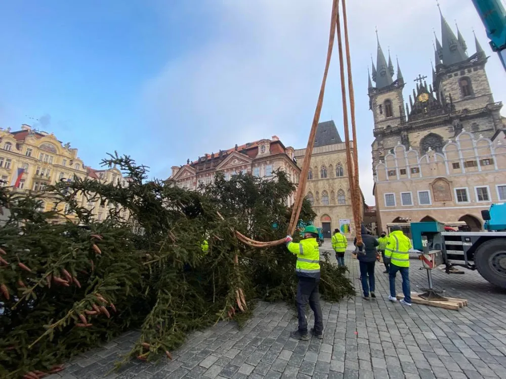 FOTO: Strom ze Staroměstského náměstí již zmizel. Z kmene bude nábytek pro domov seniorů