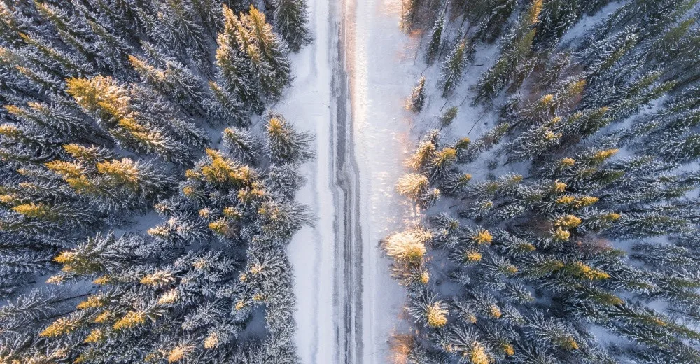 ilustrační foto