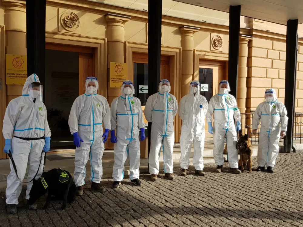 Psi označí pacienta s covidem do deseti vteřin. Ve výcviku jim pomáhali pražští senioři