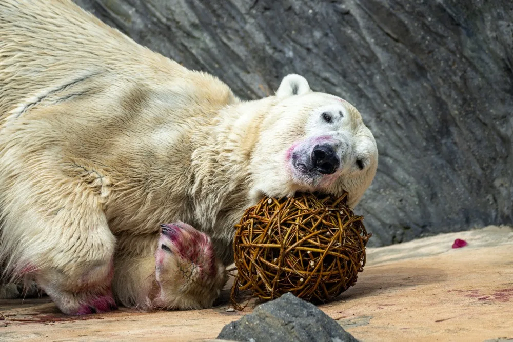 Zoo Praha