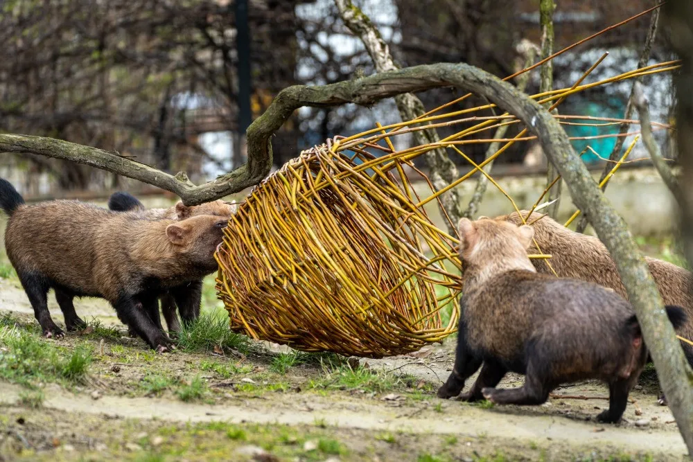 Zoo Praha