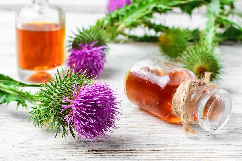 Detoxikace organismu: Kdy se do ní pustit a jak dlouhodobě udržet tělo bez škodlivých látek