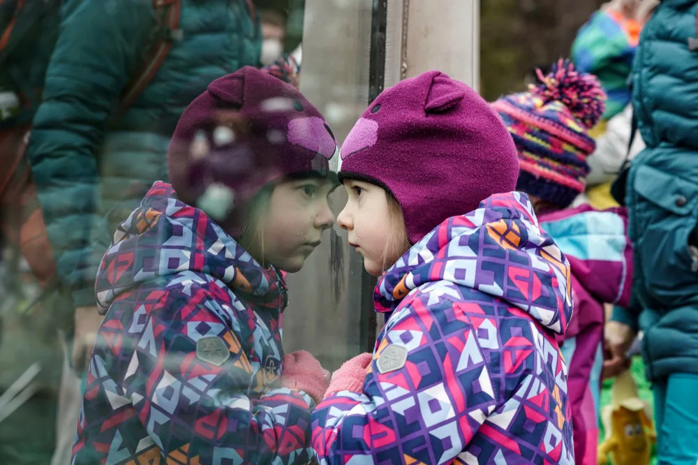 Do zoo přišlo od pondělí přes 8000 návštěvníků, do botanické zahrady zavítalo 2000 lidí