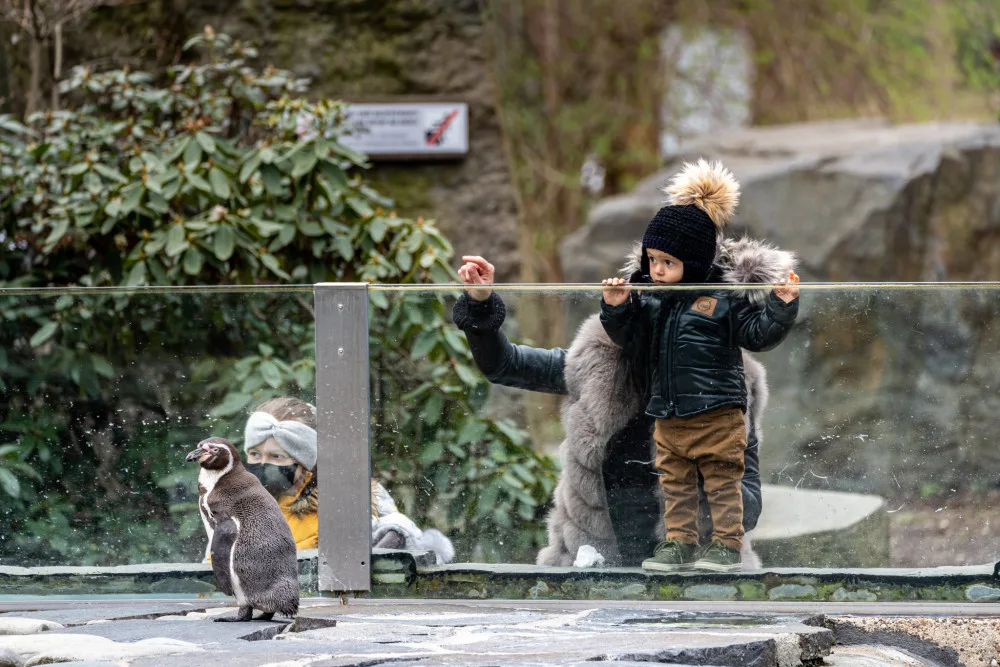 Do zoo přišlo od pondělí přes 8000 návštěvníků, do botanické zahrady zavítalo 2000 lidí