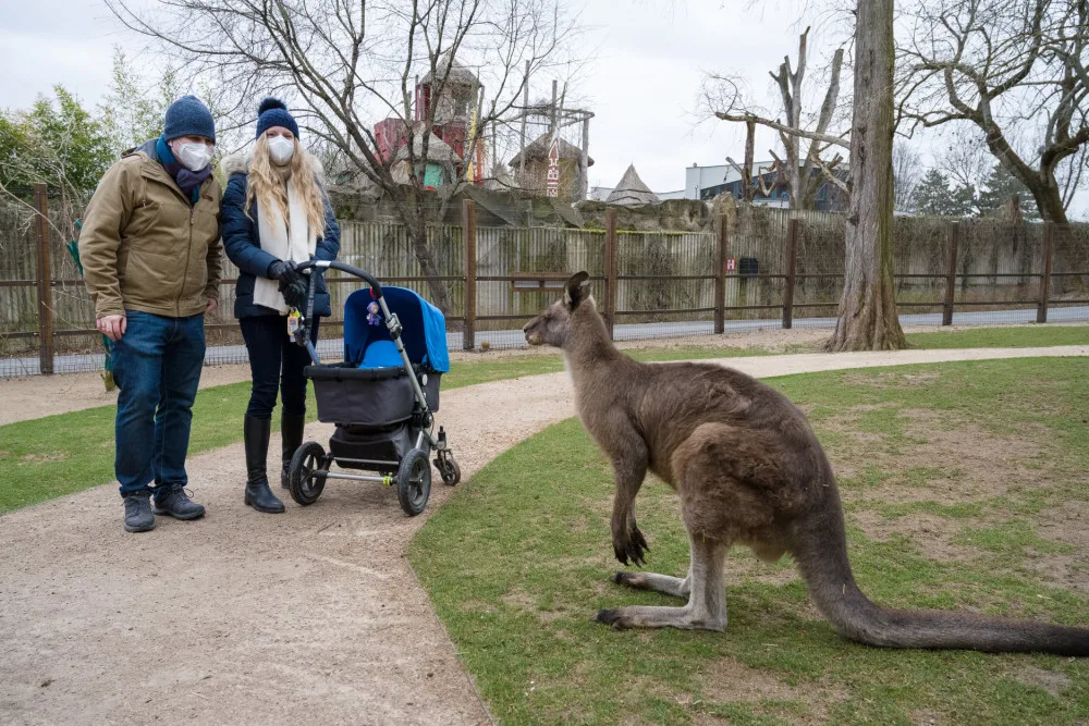 Do zoo přišlo od pondělí přes 8000 návštěvníků, do botanické zahrady zavítalo 2000 lidí