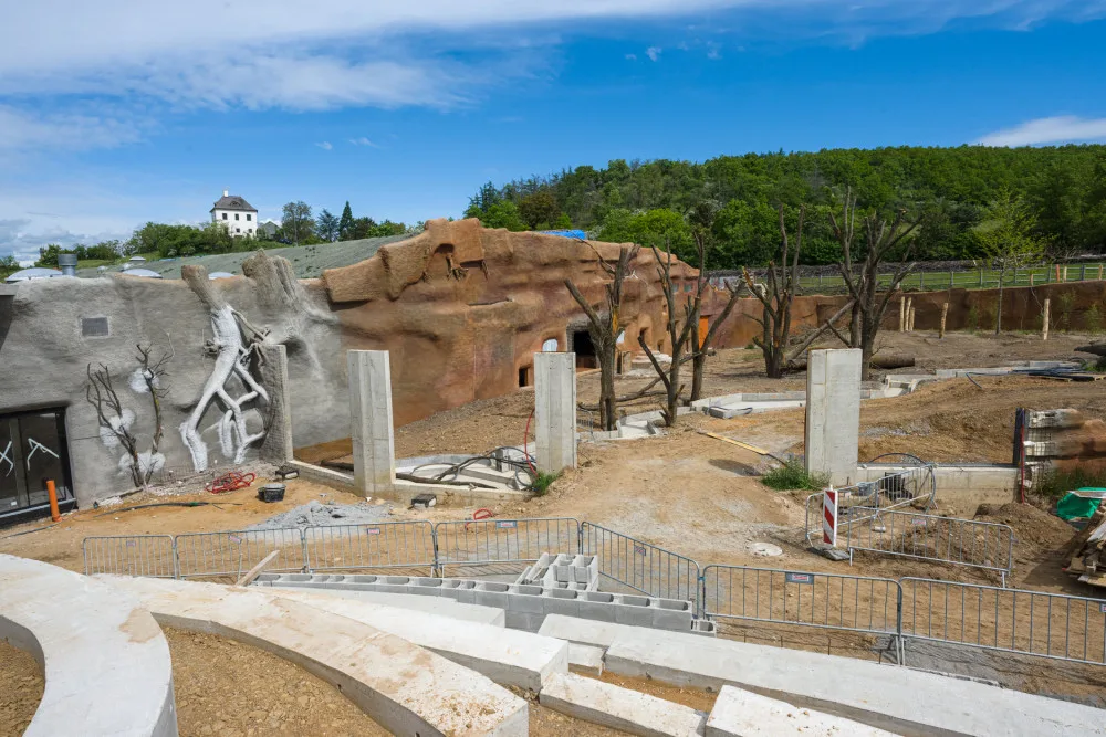 Gorily v pražské zoo dostanou nový pavilon. Bude stát 300 milionů a hotov bude na podzim 2022