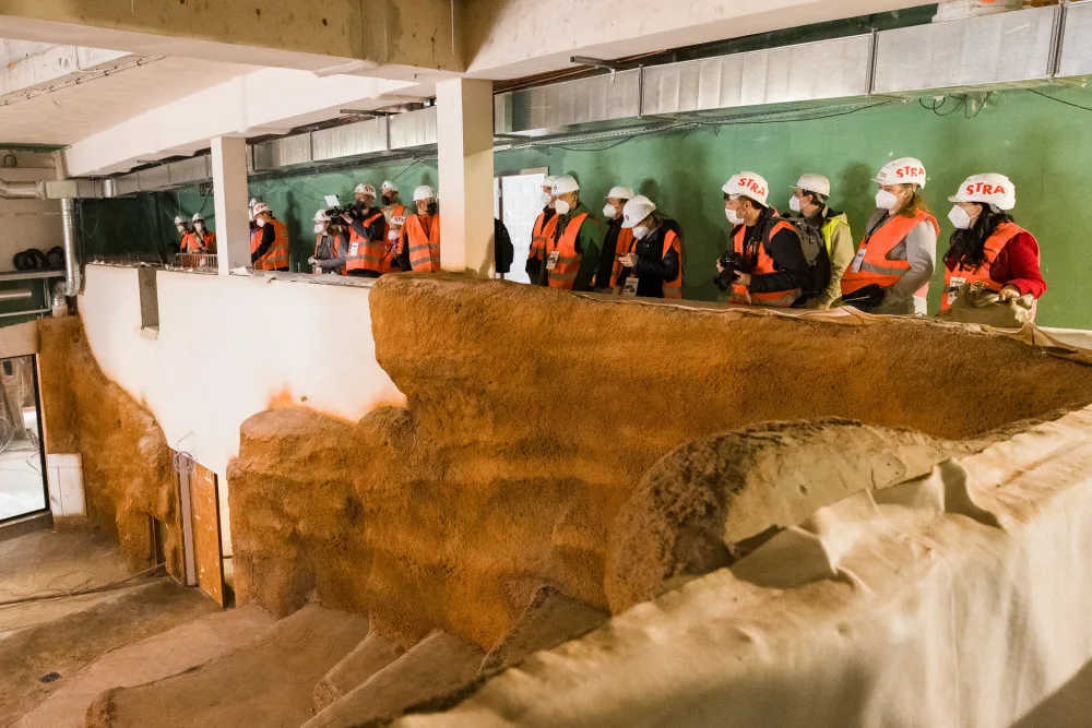 Gorily v pražské zoo dostanou nový pavilon. Bude stát 300 milionů a hotov bude na podzim 2022