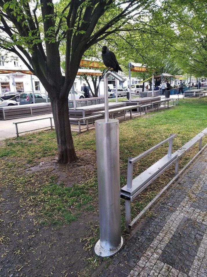 Čtyři nová vodní mlžítka jsou v Praze 2. Lidé je najdou na Ostrčilově nebo Palackého náměstí