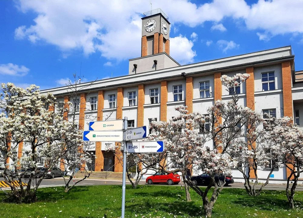 ilustrační foto