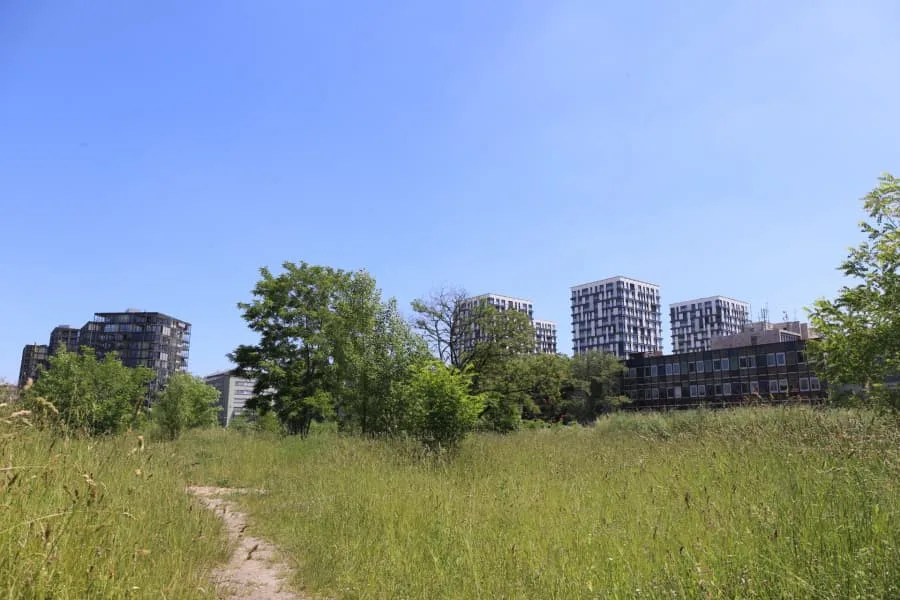 V Praze vznikne nový park. Jméno mu vyberou obyvatelé
