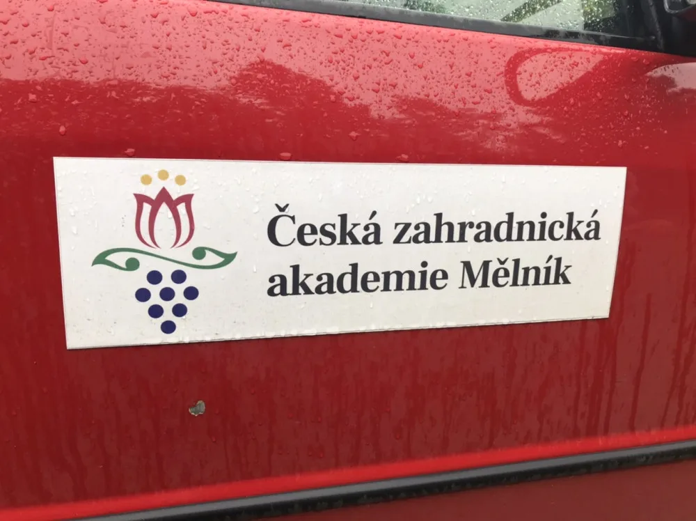 Největší česká dýně je v Praze. Lidé ji mohou vidět v rámci výstavy v botanické zahradě