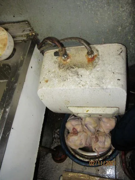 Neuvěřitelný nepořádek a všudypřítomný myší trus. Inspekce zavřela restauraci v Sapě