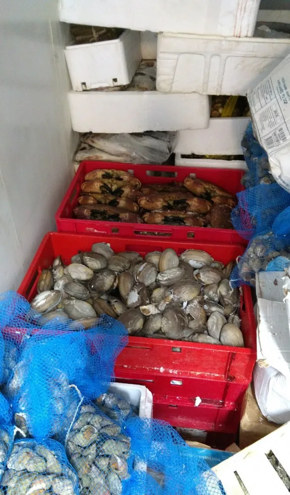Tisíce kilogramů neoznačených potravin. Další prodejna v Sapě má problém.