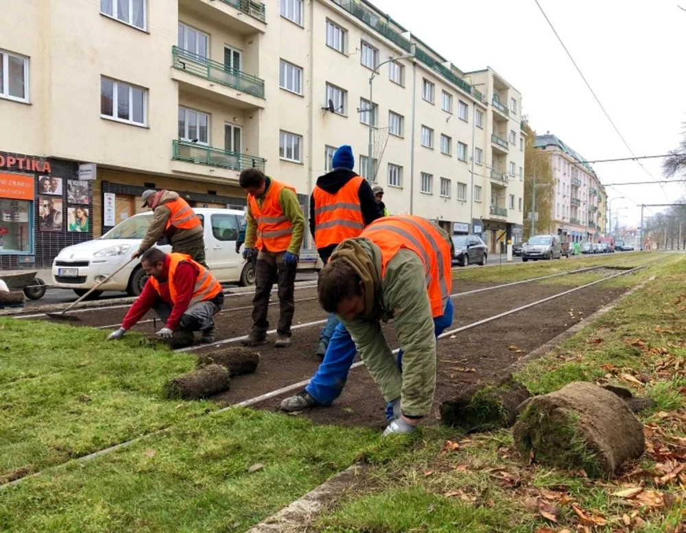 Praha je součástí vědeckého experimentu. Dopravní podnik testuje speciální travní koberce