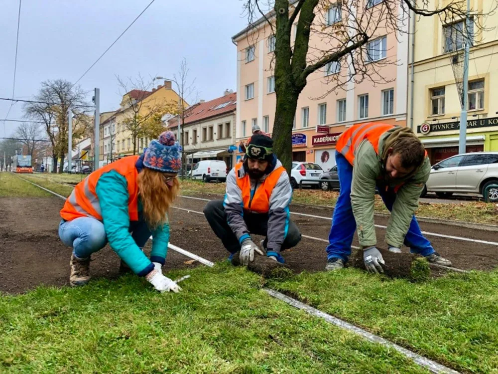 Praha je součástí vědeckého experimentu. Dopravní podnik testuje speciální travní koberce