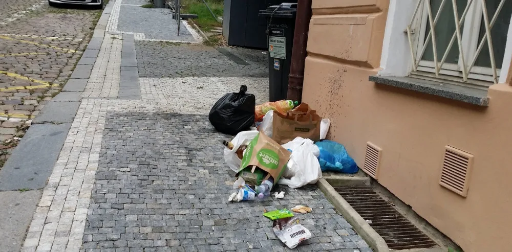 Praha se utápí v odpadcích, hlásá ODS. Jsou to hloupé výkřiky opozice, říká Hlubuček