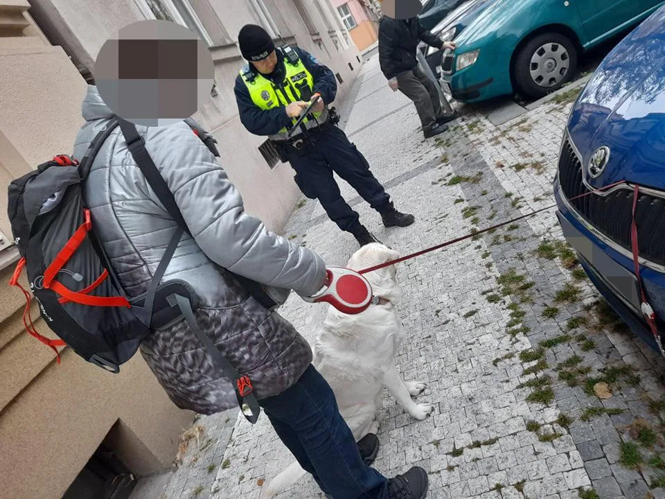 Pejskařka v nesnázích. Vodítko zasekunuté pod kapotou auta museli vyprostit strážníci.