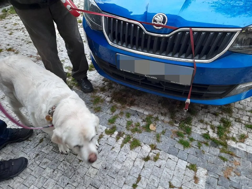 Pejskařka v nesnázích. Vodítko zasekunuté pod kapotou auta museli vyprostit strážníci