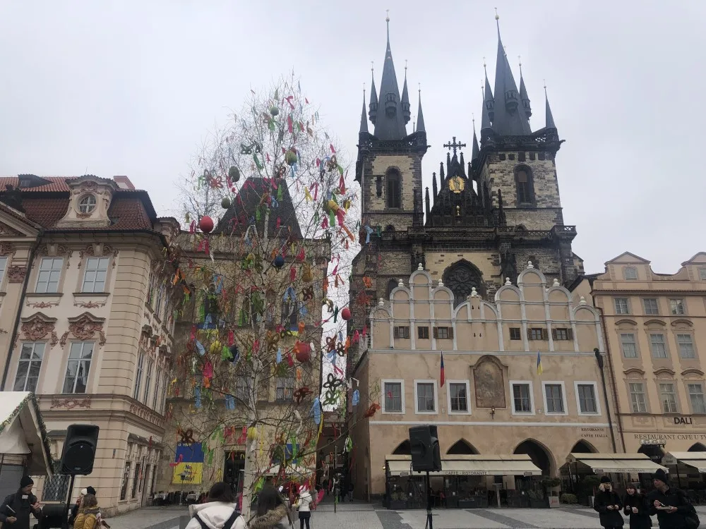 Ozdobená břízka nahradí podium.