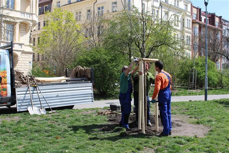Ilustrační foto.