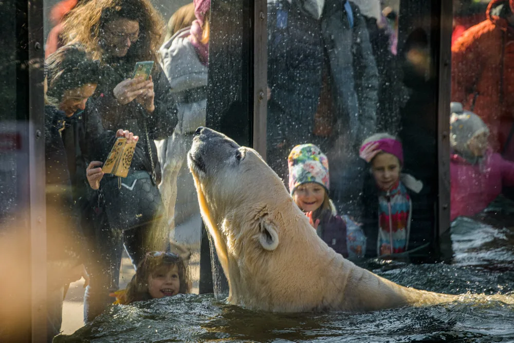 Pražská zoo končí se symbolickým vstupným pro ukrajinské ženy a děti. Od neděle zaplatí běžné vstupné