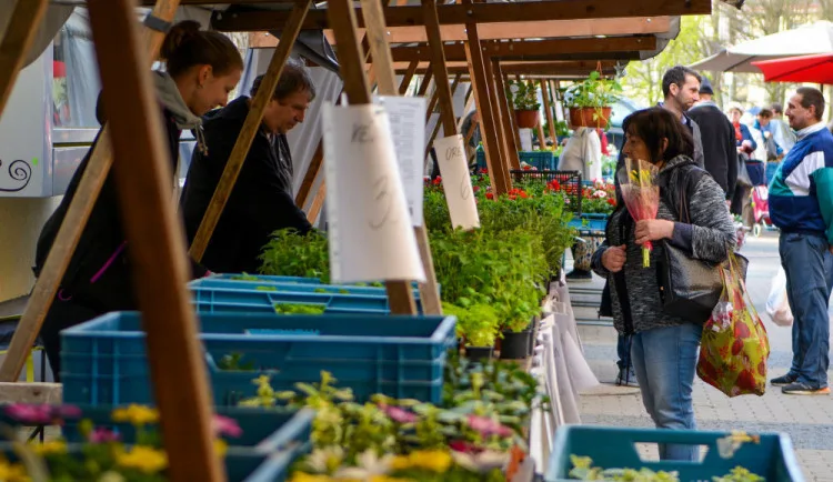 Na Ohradě budou farmářské trhy, rozhodla Praha 3