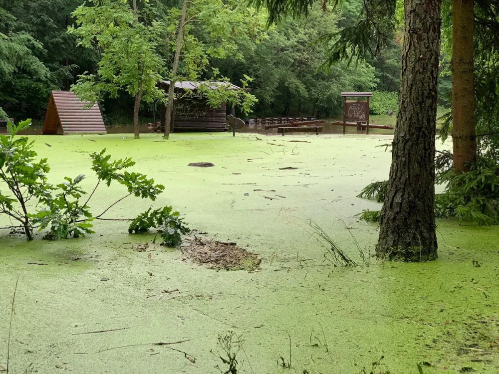 VIDEO: Meteorologové zaznamenali extrémní srážky. V Praze byl překročen třetí povodňový stupeň