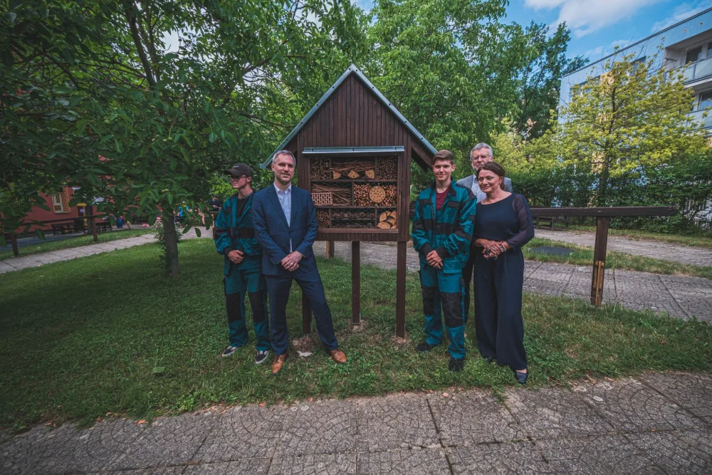Z vánočního stromu se stal hmyzí hotel a knihobudky pro seniory