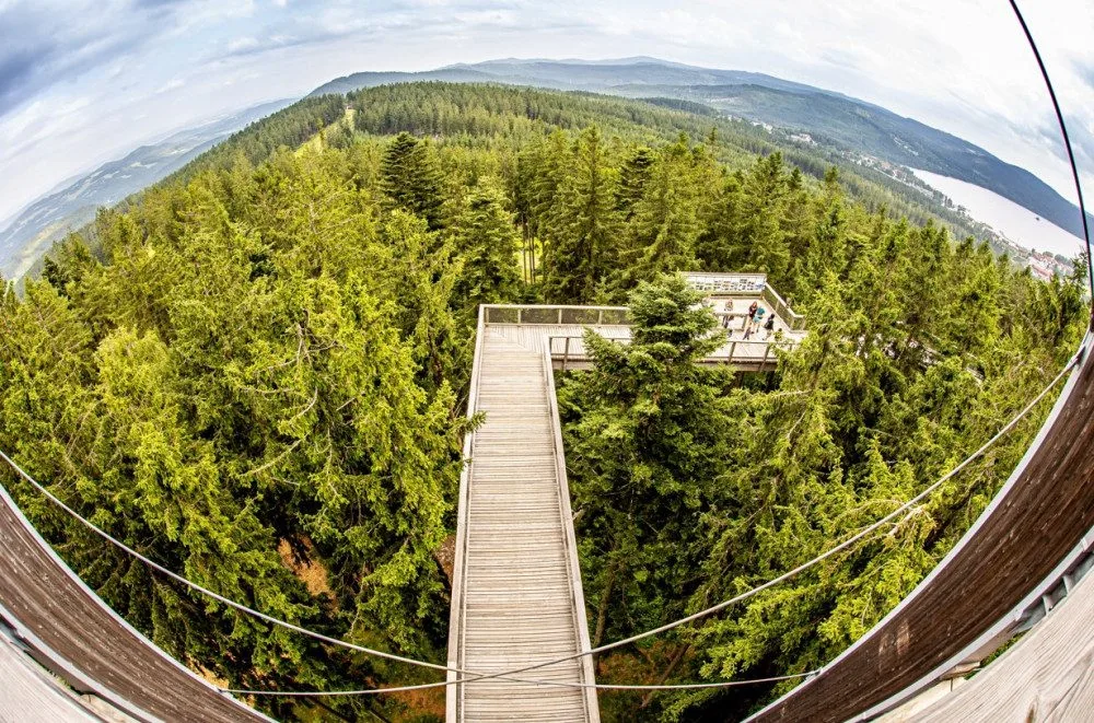 Stezka korunami stromů Lipno slaví první kulatiny. Oslavte je společně s ní i Monikou Absolonovou!