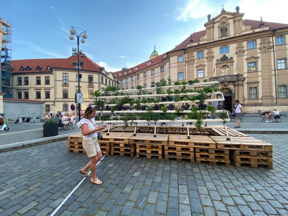 Hydroponie je ideální způsob, jak dostat zeleň do města