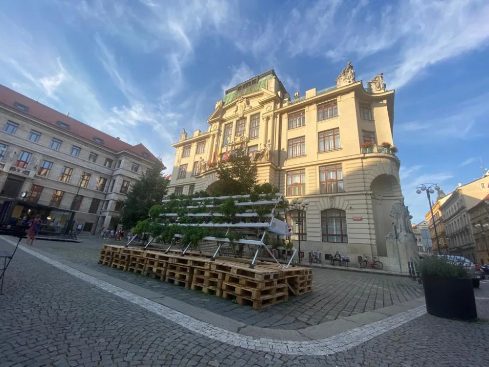 Hydroponie je ideální způsob, jak dostat zeleň do města