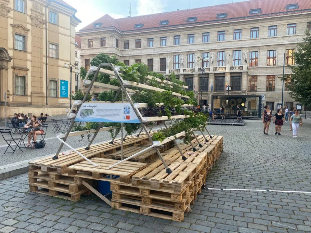Hydroponie je ideální způsob, jak dostat zeleň do města
