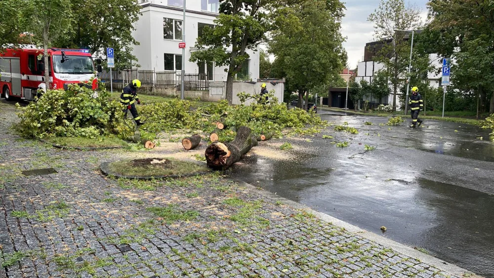 V Praze spadl v bouřce strom, na letišti byl na půl hodiny pozastavený