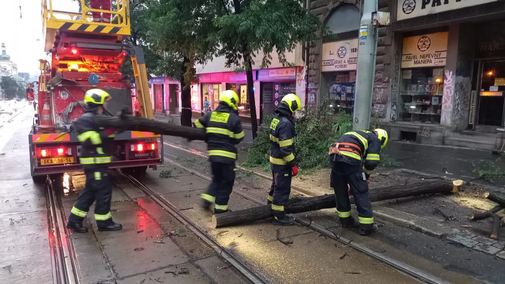 V ulici Ječná spadl strom na troleje