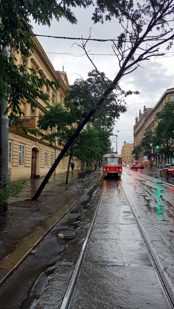 Bouřka v Praze vyvracela stromy, voda zaplavila ulice