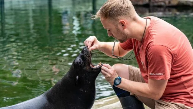 Zoo láká na mláďata a vstup pro děti za korunu