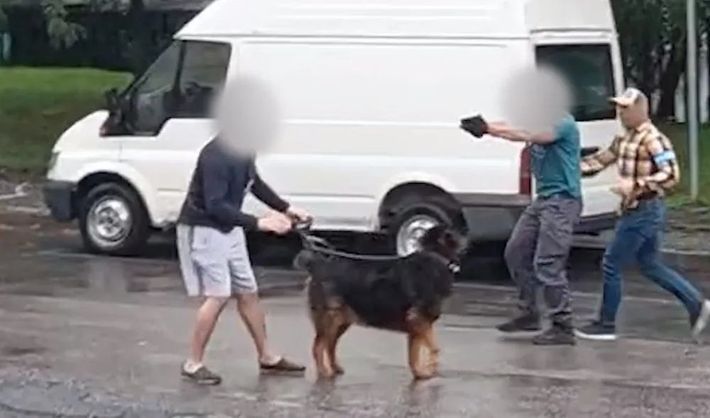 Střelce policie zadržela přímo na ulici.